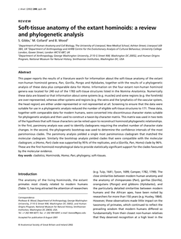 Soft-Tissue Anatomy of the Extant Hominoids Anatomy of the Extant Hominoids: a Review and Phylogenetic Analysis S