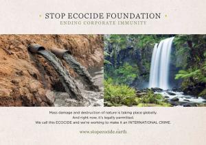Stop Ecocide Foundation Ending Corporate Immunity