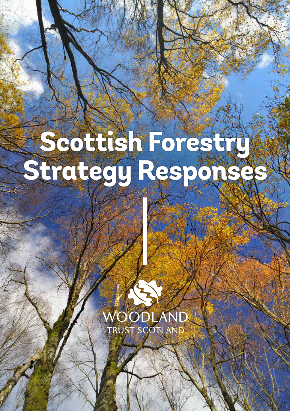 Scottish Forestry Strategy Responses Introduction • • We Believe the New Strategy Should: Consultation