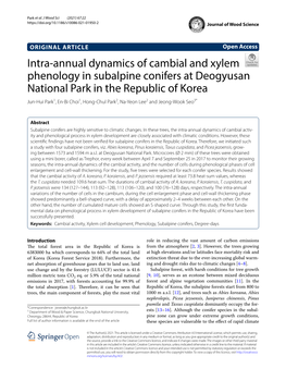 Intra-Annual Dynamics of Cambial and Xylem Phenology in Subalpine