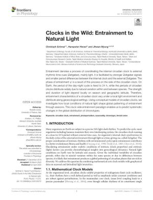 Clocks in the Wild: Entrainment to Natural Light