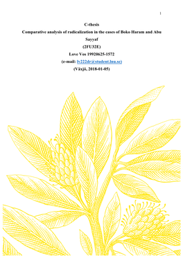 C-Thesis Comparative Analysis of Radicalization in the Cases of Boko