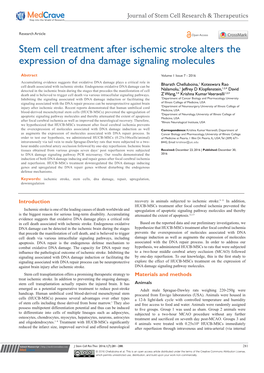 Stem Cell Treatment After Ischemic Stroke Alters the Expression of Dna Damage Signaling Molecules