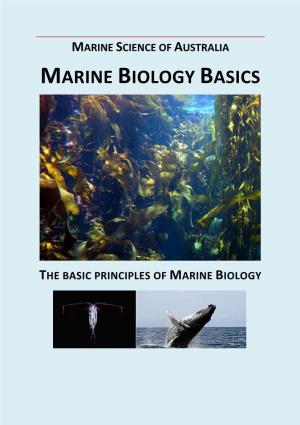 Marine Biology Basics