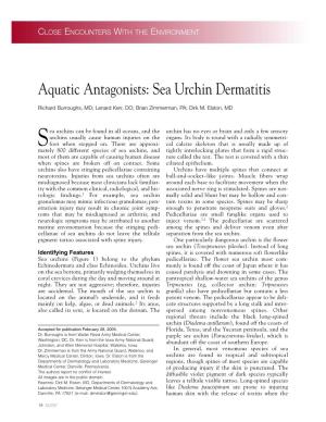 Aquatic Antagonists: Sea Urchin Dermatitis