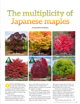 The Multiplicity of Japanese Maples