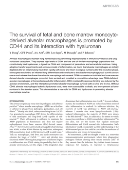 The Survival of Fetal and Bone Marrow Monocyte-Derived Alveolar