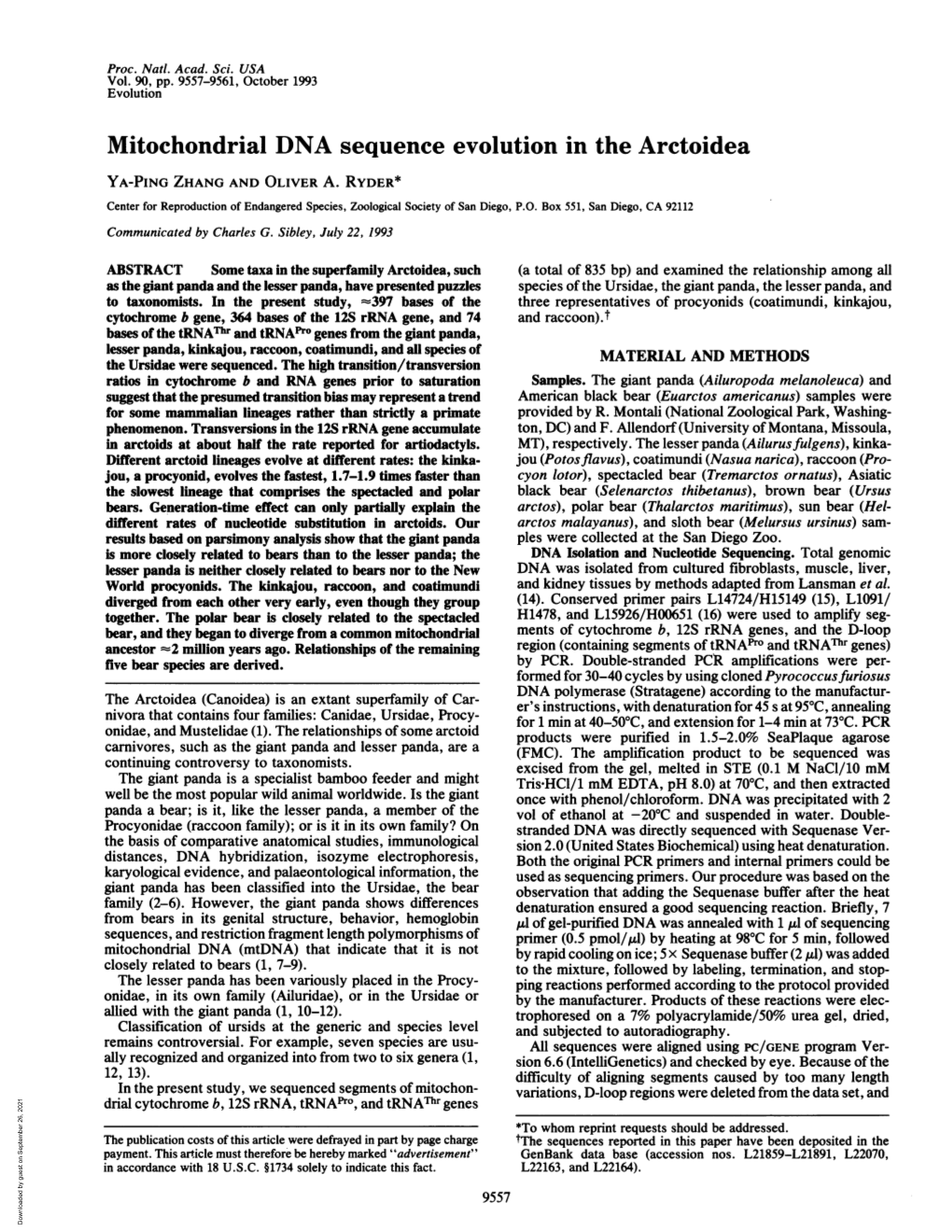 Mitochondrial DNA Sequence Evolution in the Arctoidea YA-PING ZHANG and OLIVER A