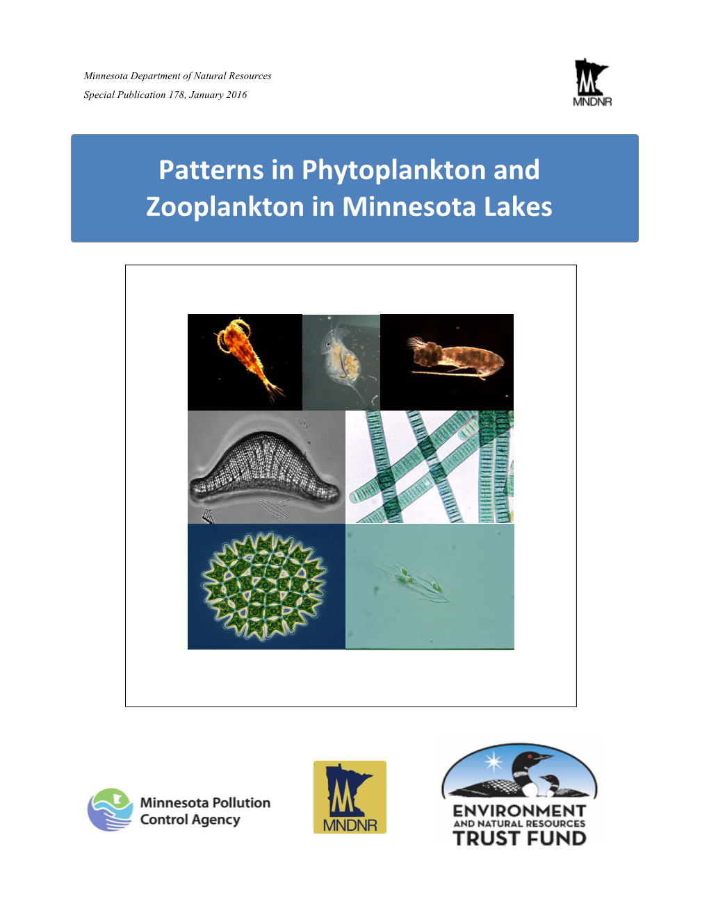 Patterns in Phytoplankton and Zooplankton in Minnesota Lakes