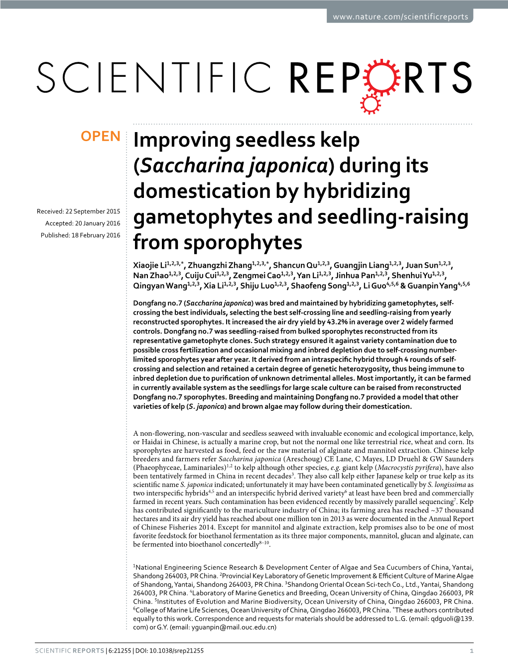 Improving Seedless Kelp (Saccharina Japonica)