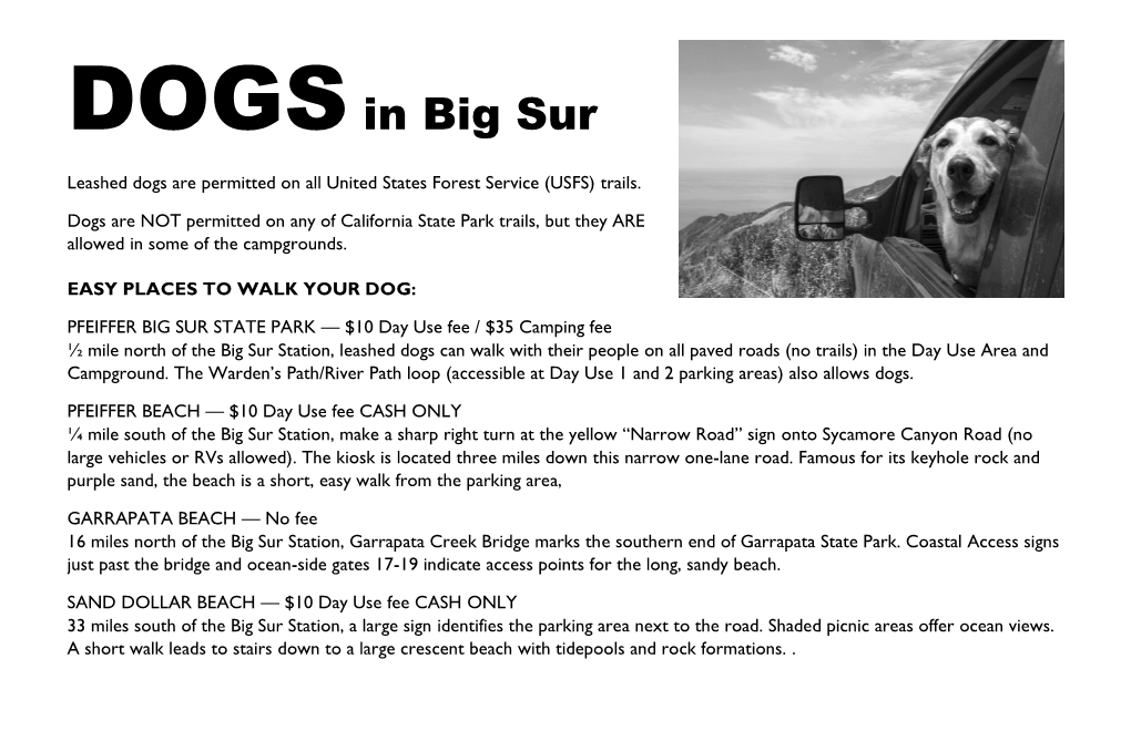 DOGS in Big Sur Leashed Dogs Are Permitted on All United States Forest Service (USFS) Trails