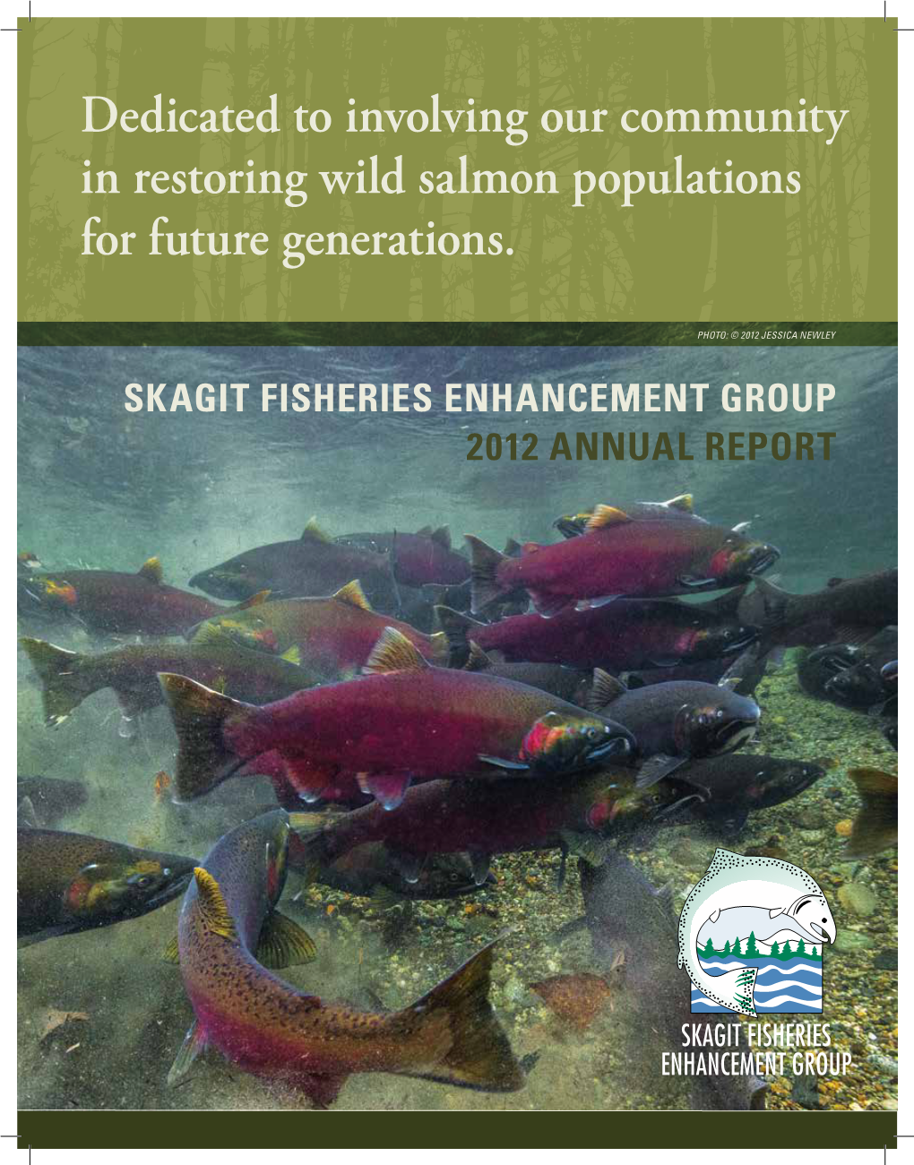 Dedicated to Involving Our Community in Restoring Wild Salmon Populations for Future Generations