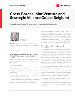 Cross-Border Joint Venture and Strategic Alliance Guide (Belgium)