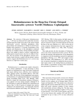 Bioluminescence in the Deep-Sea Cirrate Octopod Stauroteuthis Syrtensis Verrill (Mollusca: Cephalopoda)