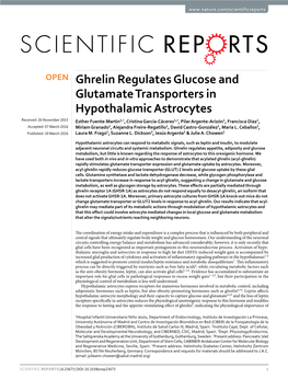 Ghrelin Regulates Glucose and Glutamate Transporters In