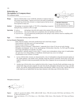 Bolinichthys Sp. Myctophidae (S.F. Lampanyctinae) No Common Name