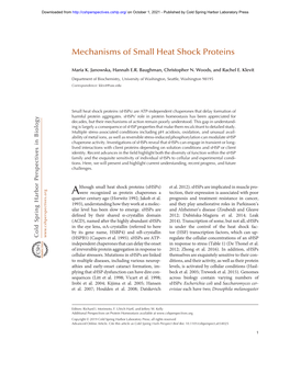Mechanisms of Small Heat Shock Proteins