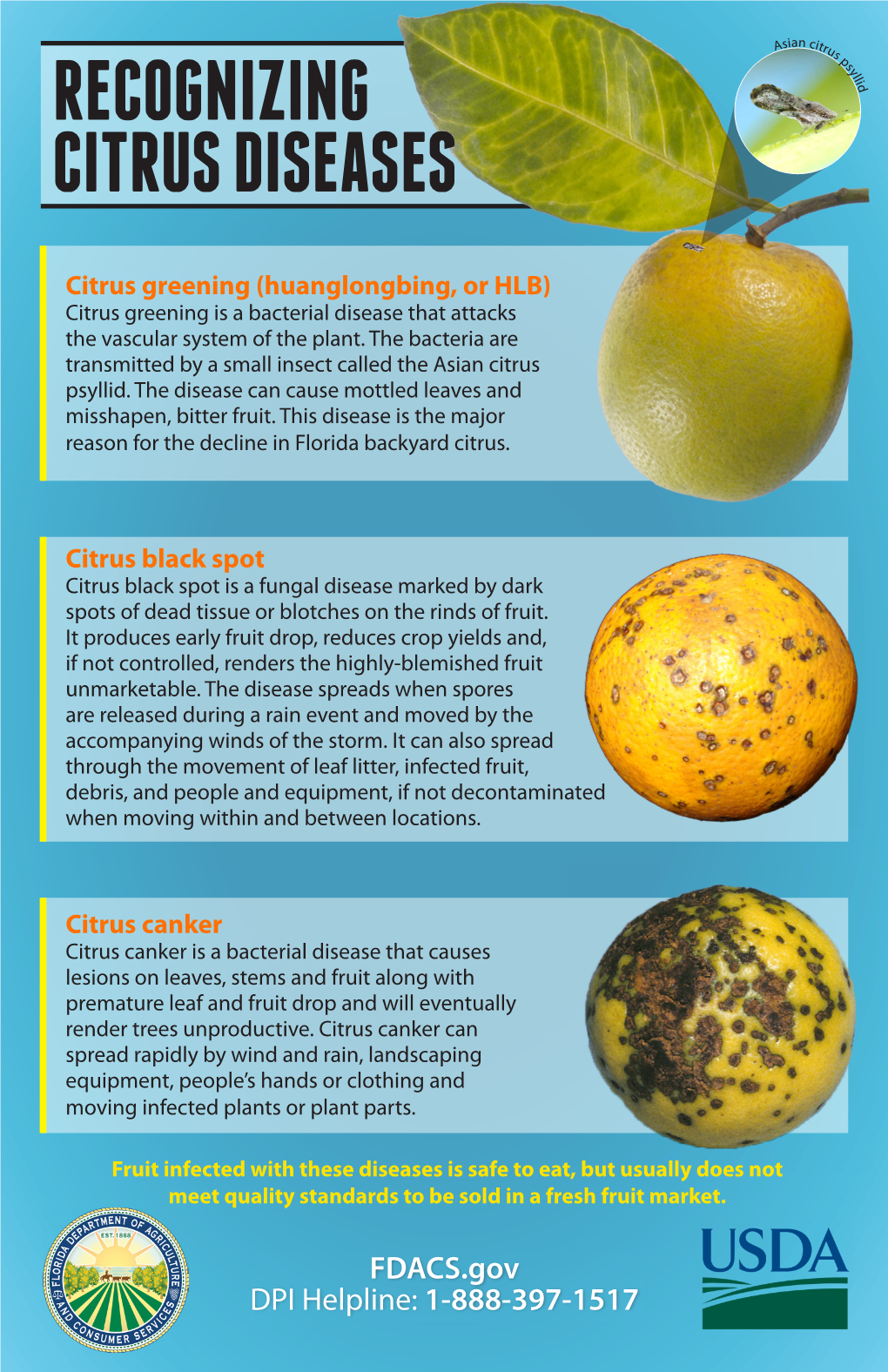 Recognizing Citrus Diseases