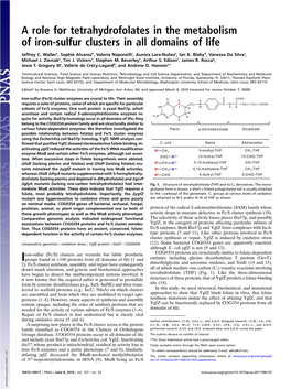 A Role for Tetrahydrofolates in the Metabolism of Iron-Sulfur Clusters in All Domains of Life