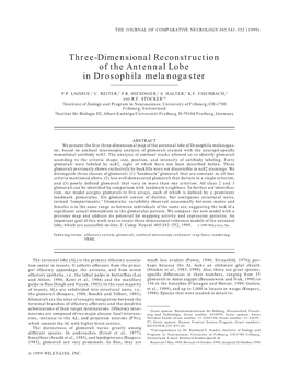 Three-Dimensional Reconstruction of the Antennal Lobe in Drosophila Melanogaster