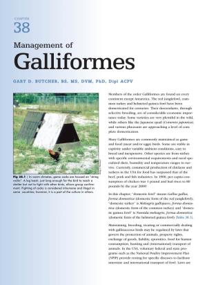 Management of Galliformes