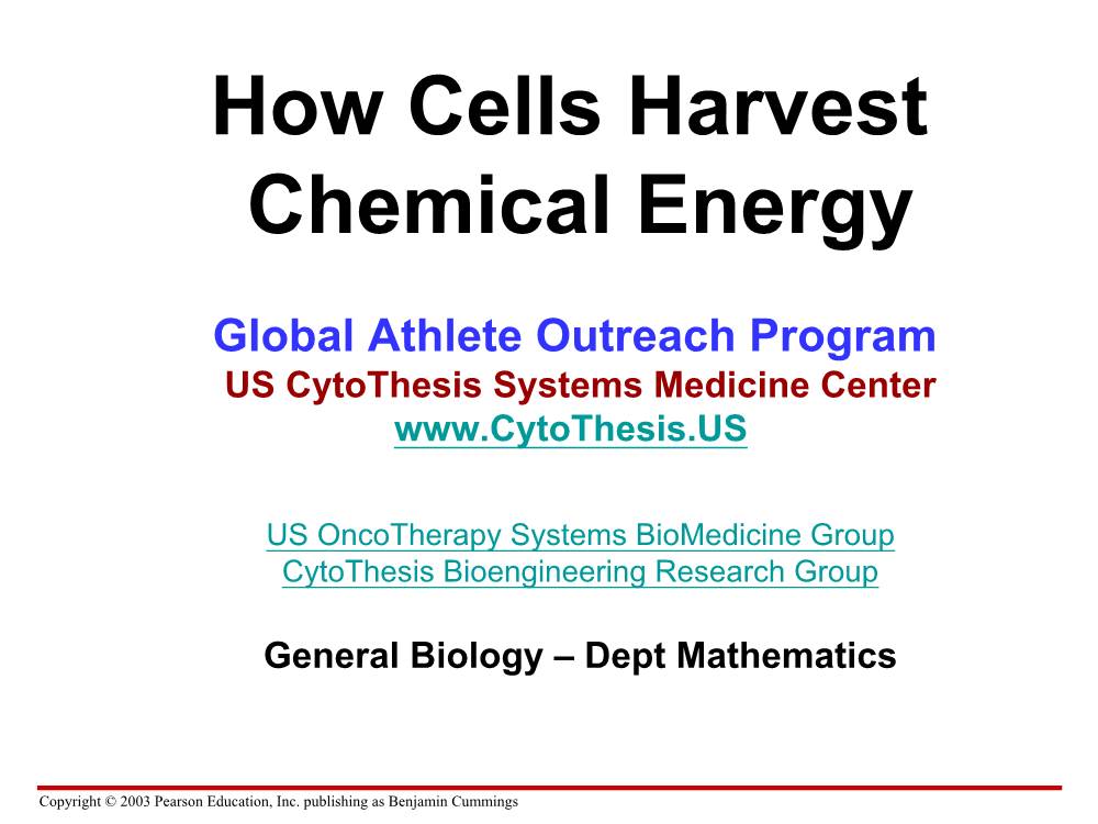 How Cells Harvest Chemical Energy
