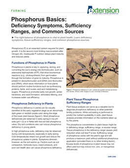 Download a PDF of Phosphorus Basics