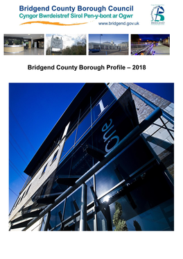 Bridgend County Borough Profile – 2018