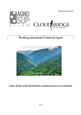 Working Placement:Technical Report