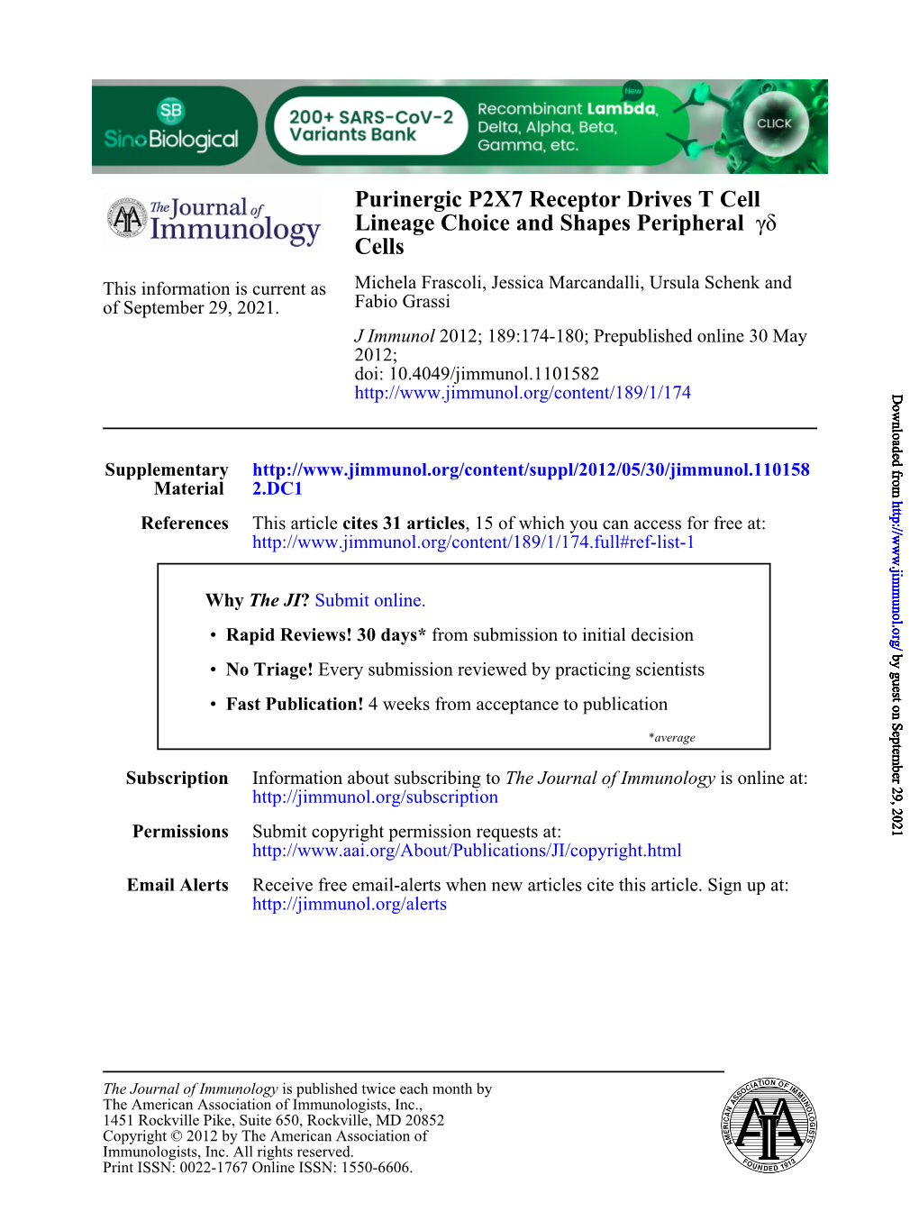 Cells Δγ Lineage Choice and Shapes Peripheral Purinergic P2X7