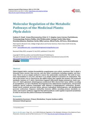 Molecular Regulation of the Metabolic Pathways of the Medicinal Plants: Phyla Dulcis