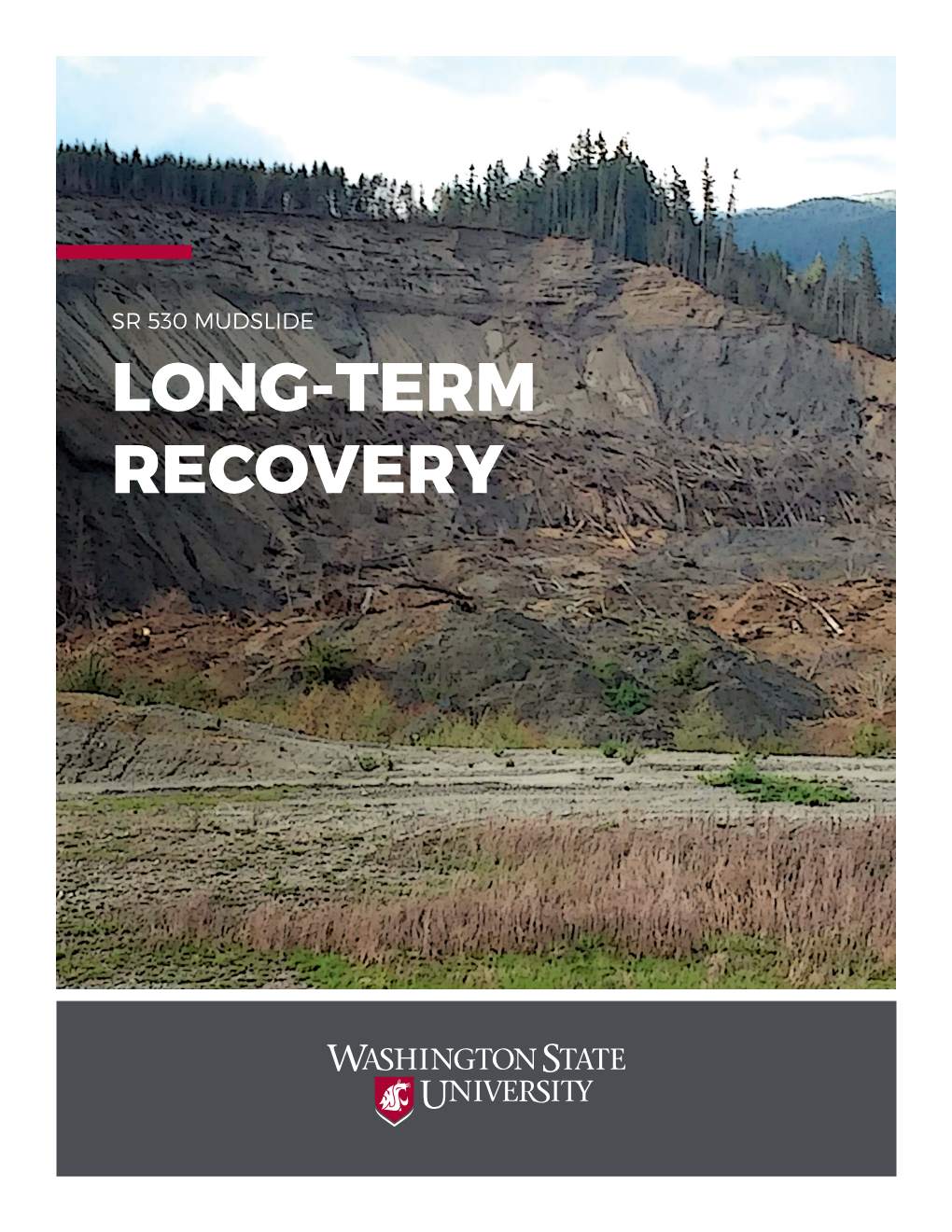 Long-Term Recovery Executive Summary