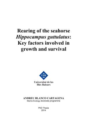 Rearing of the Seahorse Hippocampus Guttulatus: Key Factors Involved in Growth and Survival