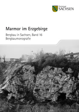 Bergbau in Sachsen, Band 16 Bergbaumonografie