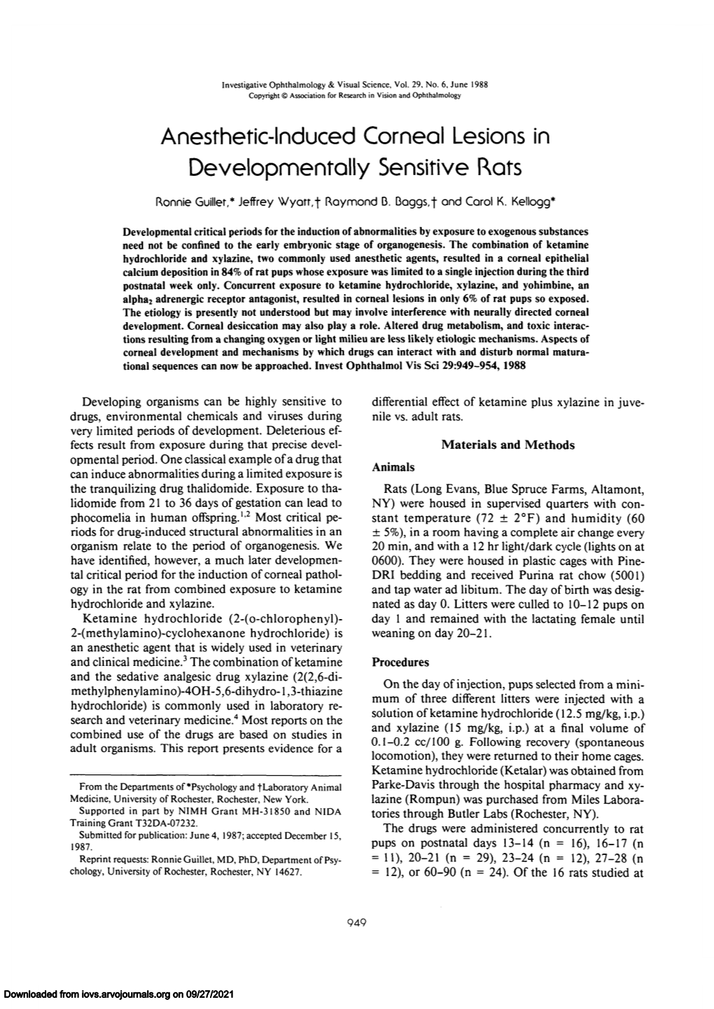 Anesthetic-Induced Corneal Lesions in Developmental^ Sensitive Rats