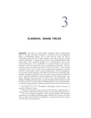 Classical Gauge Fields