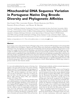 Mitochondrial DNA Sequence Variation in Portuguese Native Dog Breeds: Diversity and Phylogenetic Affinities