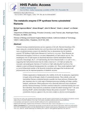 The Metabolic Enzyme CTP Synthase Forms Cytoskeletal Filaments