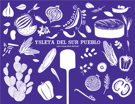 2019 Ysleta Del Sur Pueblo Year End Report