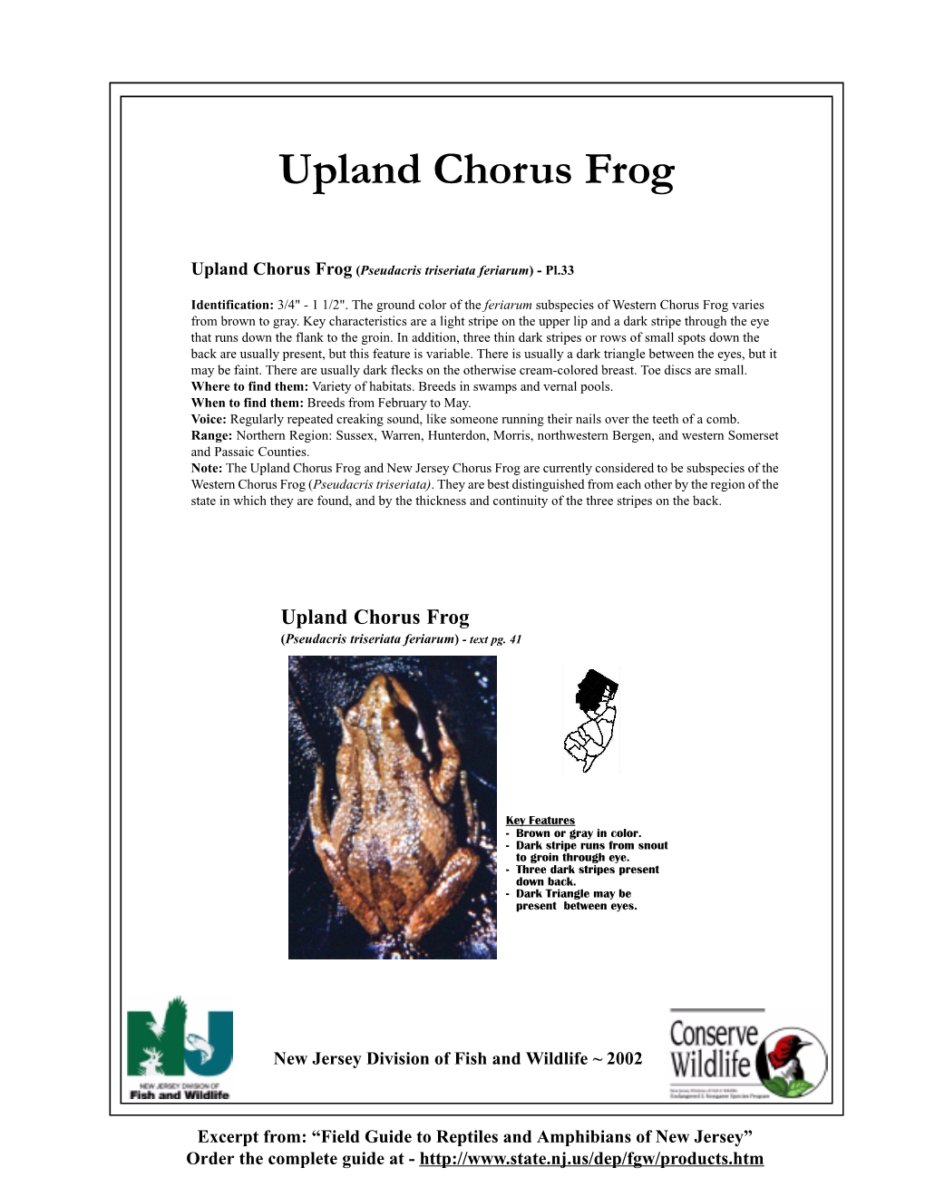 Upland Chorus Frog