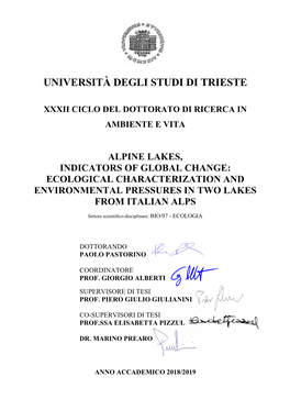Università Degli Studi Di Trieste Xxxii Ciclo Del Dottorato Di Ricerca