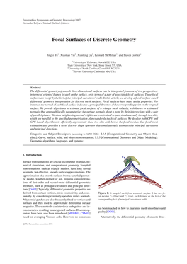 Focal Surfaces of Discrete Geometry