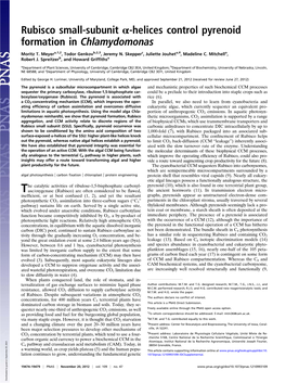 Rubisco Small-Subunit Α-Helices Control Pyrenoid Formation in Chlamydomonas