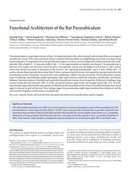 Functional Architecture of the Rat Parasubiculum