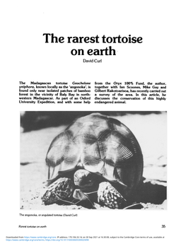 The Rarest Tortoise on Earth David Curl