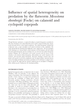 Influence of Spatial Heterogeneity on Predation by the Flatworm