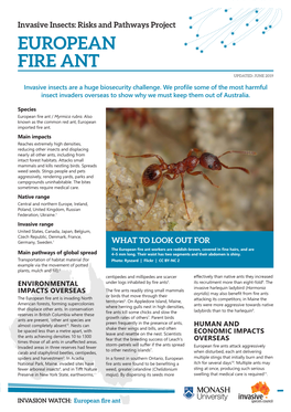 European Fire Ant Updated: June 2019