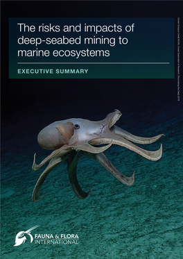 The Risks and Impacts of Deep-Seabed Mining to Marine Ecosystems