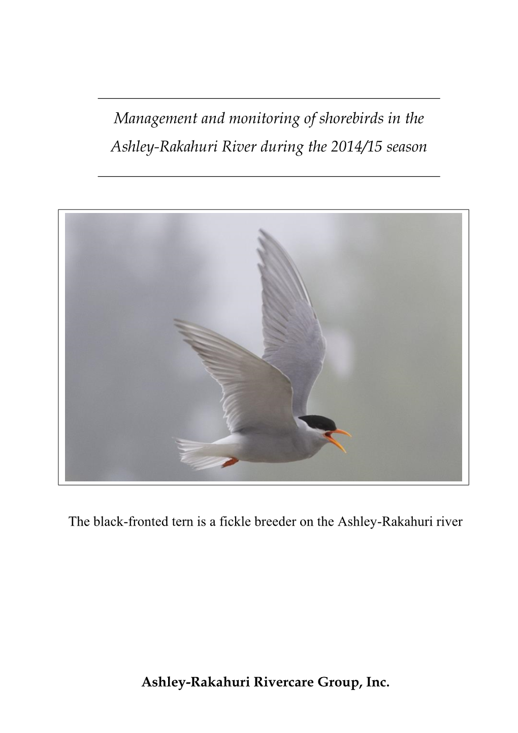 Report on Monitoring of Shorebirds In