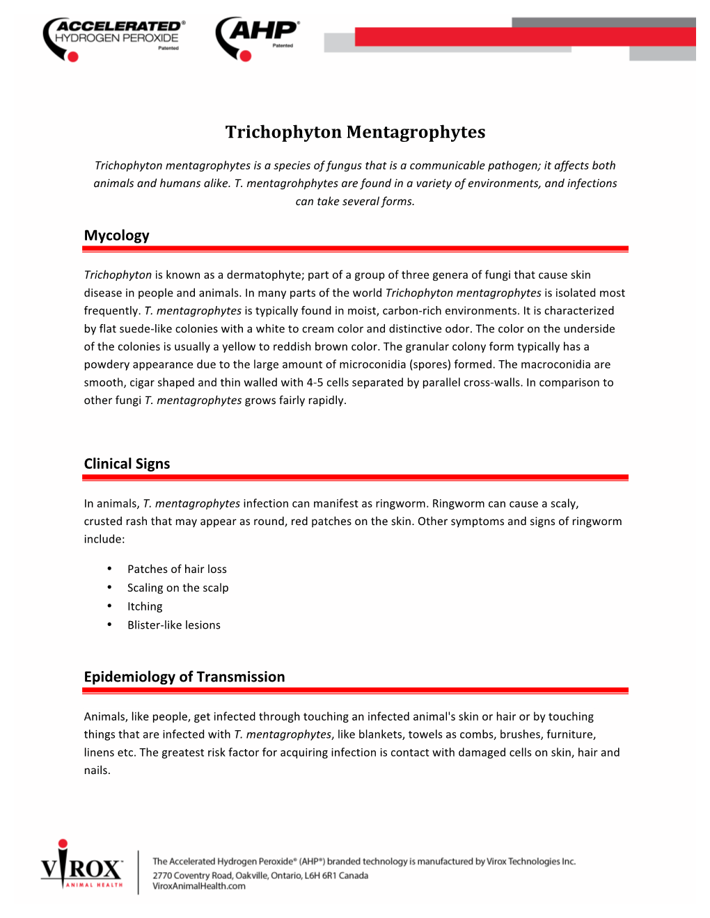 Trichophyton Mentagrophytes